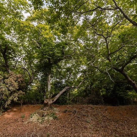 Maison Mialon: Country House Amidst Of Nature La Esperanza  Exterior foto
