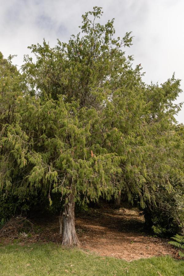 Maison Mialon: Country House Amidst Of Nature La Esperanza  Exterior foto