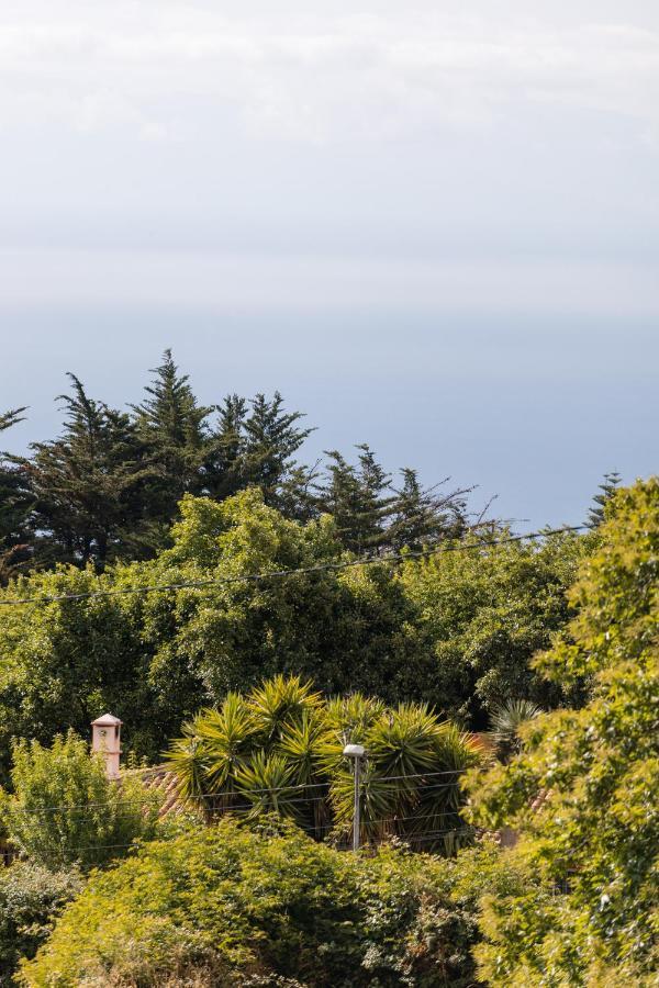 Maison Mialon: Country House Amidst Of Nature La Esperanza  Exterior foto